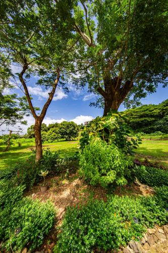 maui creek bures