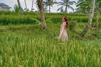 bamboo cabin sanctuary ubud