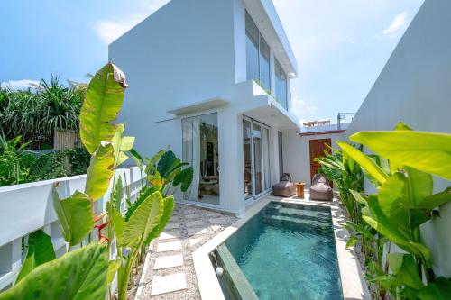 lyma loft