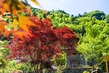 summergarden hotel
