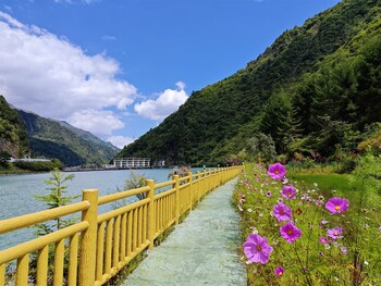 summergarden hotel