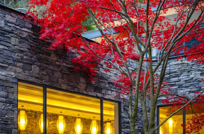 summergarden hotel