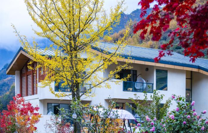 summergarden hotel