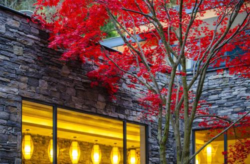summergarden hotel