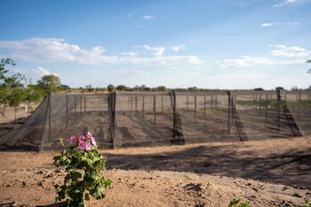 plot19 self catering