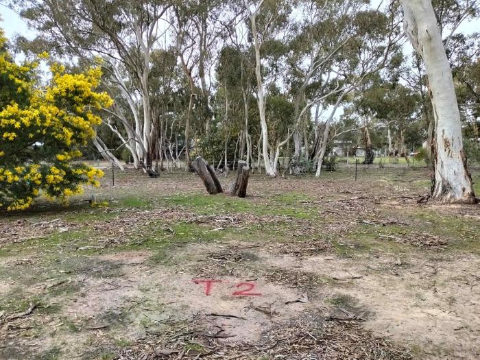 tiny away escape at grampians edge