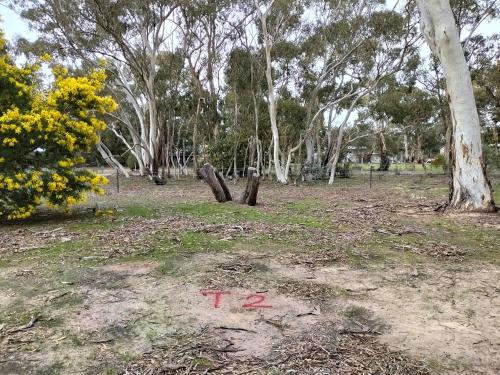 tiny away escape at grampians edge
