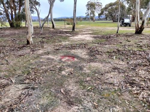 tiny away escape at grampians edge