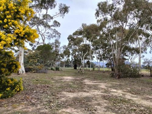 tiny away escape at grampians edge