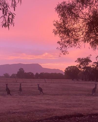 tiny away escape at grampians edge