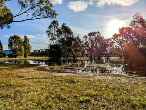 dadswells bridge