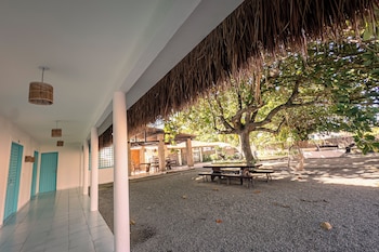 japaratinga