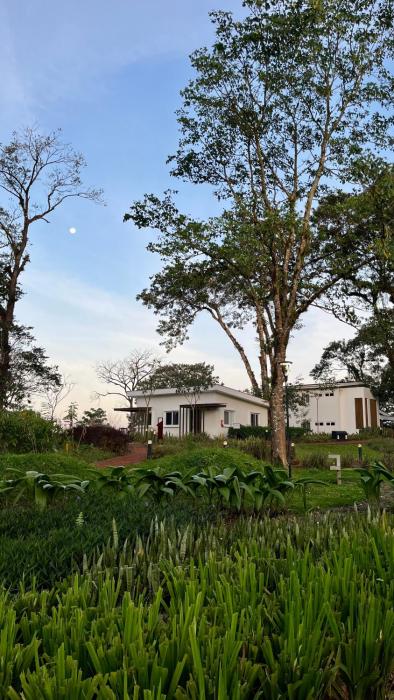 vera eco resort