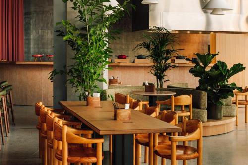 locke copenhagen
