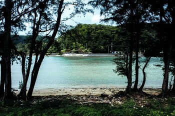coral island