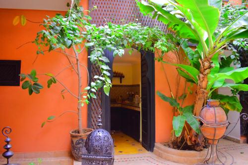 riad les anges du desert