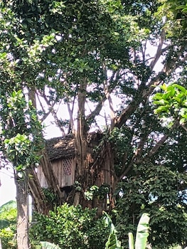 glowing view tree house and bangalow