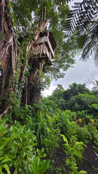 glowing view tree house and bangalow