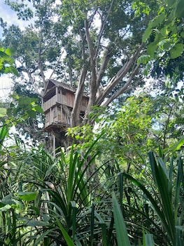 glowing view tree house and bangalow
