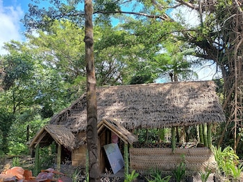 glowing view tree house and bangalow
