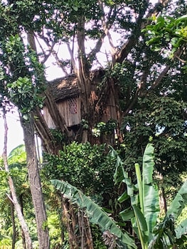 glowing view tree house and bangalow