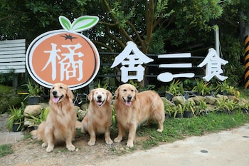 Orangefarmerlife,,1 star