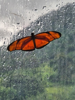 glampling nubes de monteverde