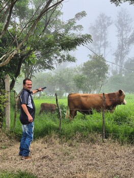 glampling nubes de monteverde