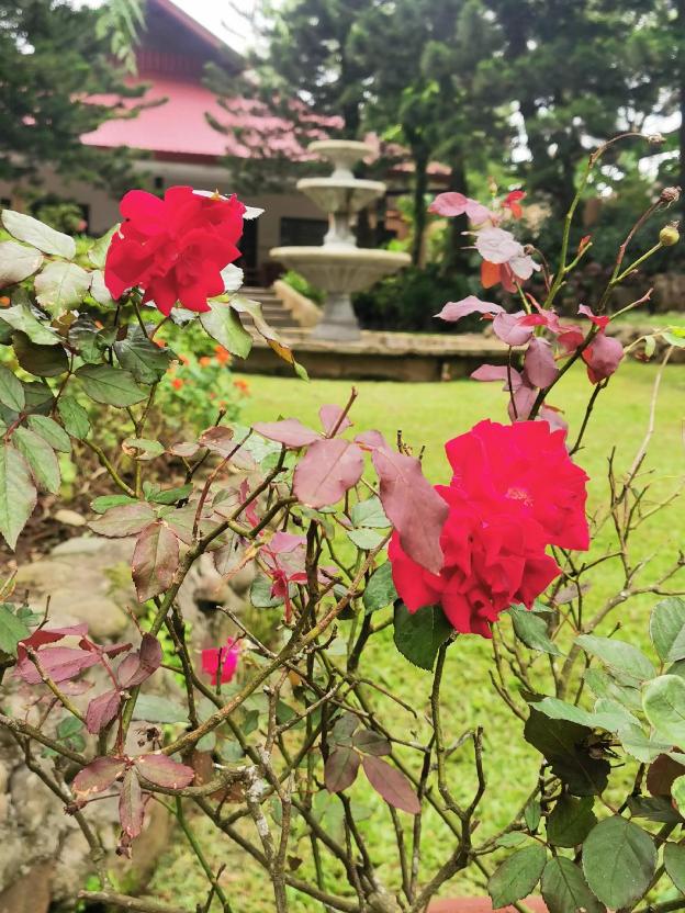 tagaytay country hotel