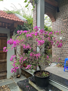 hanoi