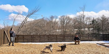 yadokari village kitakaruizawa