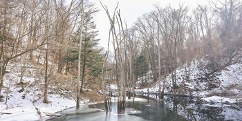 yadokari village kitakaruizawa