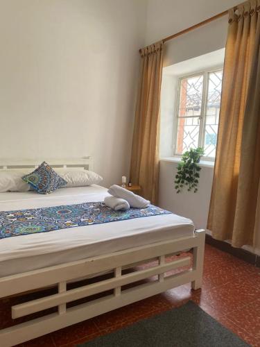 adventure hostel