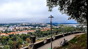 belleview cluj