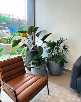 loxwood house apartment