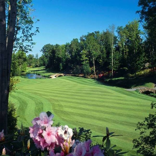 druids glen hotel and golf resort