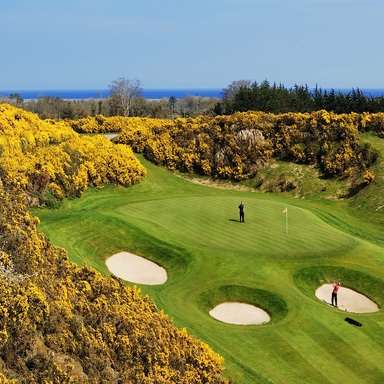 druids glen hotel and golf resort