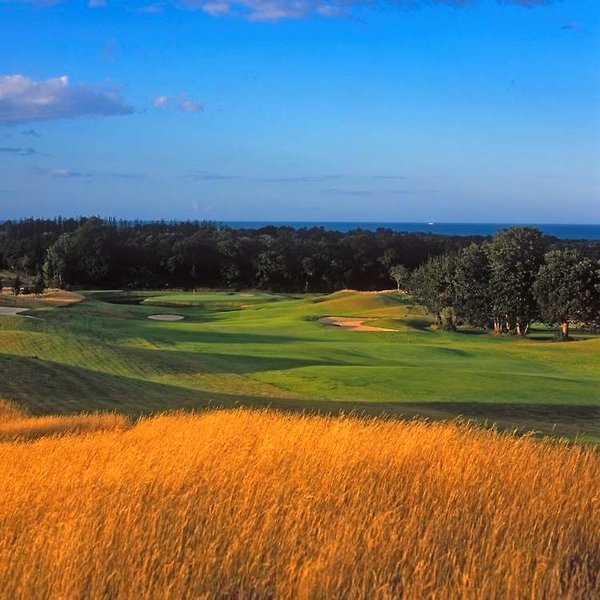 druids glen hotel and golf resort