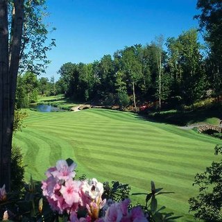 druids glen hotel and golf resort