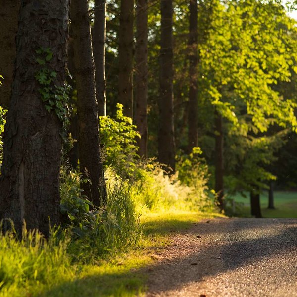 druids glen hotel and golf resort