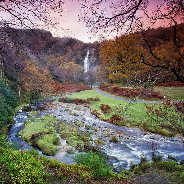 druids glen hotel and golf resort