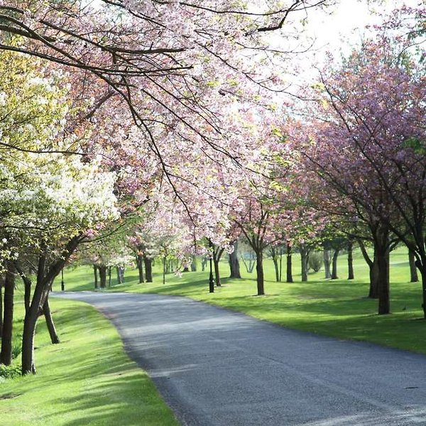 druids glen hotel and golf resort