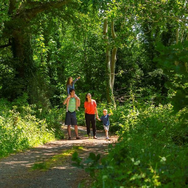 druids glen hotel and golf resort