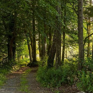 druids glen hotel and golf resort