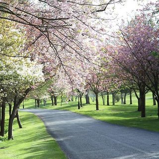 Druids Glen Hotel & Golf Resort,Near Druids Glen Golf Club,5 star