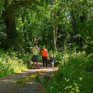 druids glen hotel and golf resort