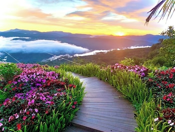 da lat