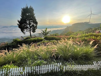 da lat