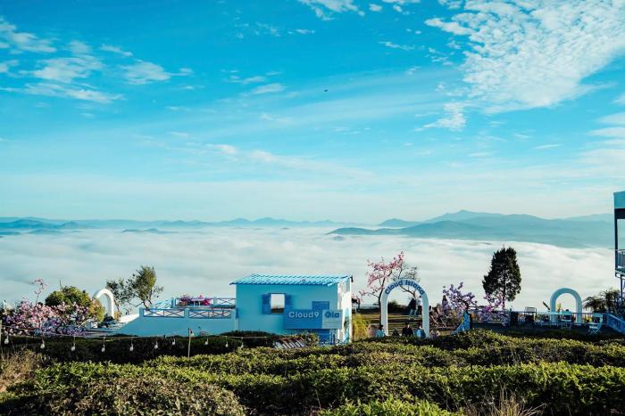 cloud9 and cloud view glamping