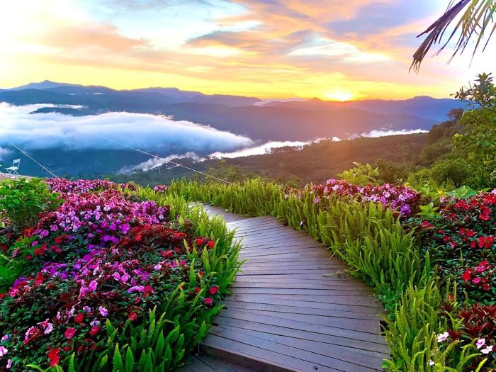 cloud9 and cloud view glamping